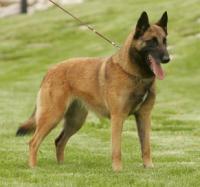 INT CH D+LUX WS Dominika Rudolfovska Skala