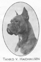 Tanko von Haidhausen