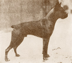 Edier von Isarstrand