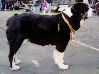 Gerkli