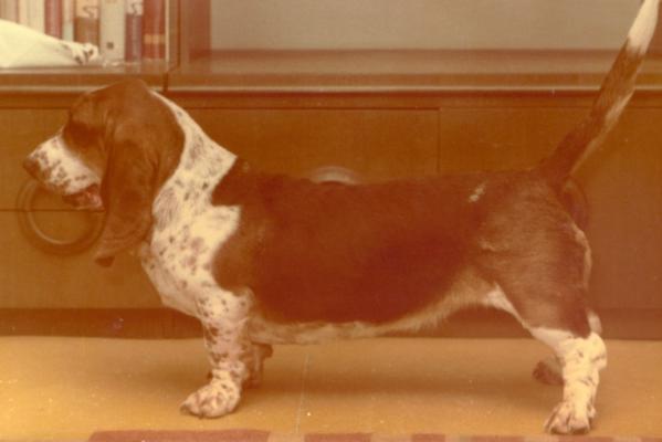 Melania Z Gangu Dlugich