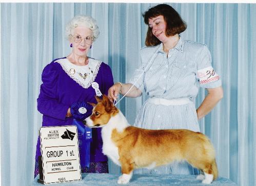 Phi-Vestavia Unforgettable