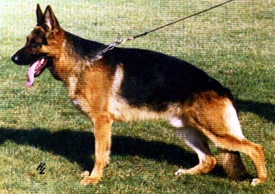 V Aßlan vom Sindelbachtal