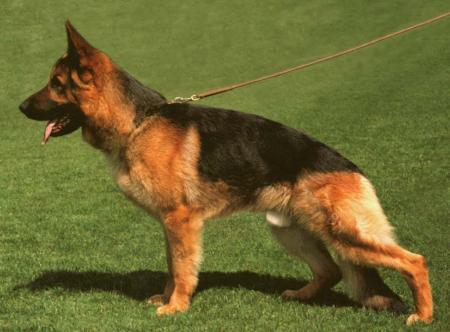 V Harrie von Nordsee Sturm