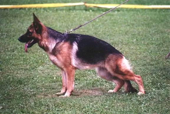 Agie von der Jahnhöhe