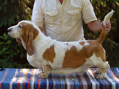 Bassbarr candid comment