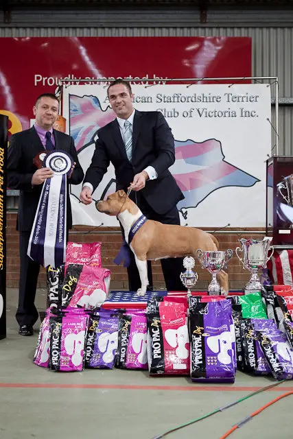 BISS Fibra Echos Of Buba