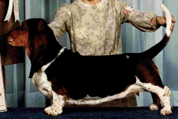 Charford Gretchen