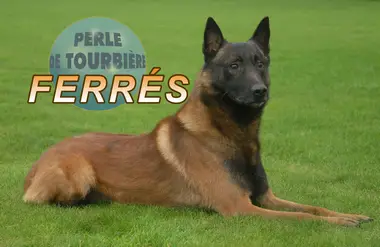 Ferres Perle de Tourbière