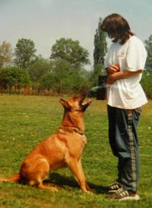 Blitz von der Ihleburg