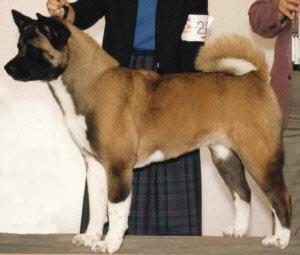 BIS, BISS AKC CH OPR Codakan Cast In Bronze