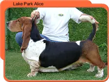 Lake park alice