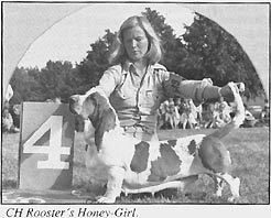 Rooster's Honey-Girl