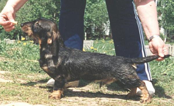 UlvsethS Mr.Stanley