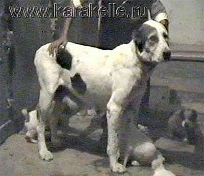 Kara-Gez 'ow.Saparov'