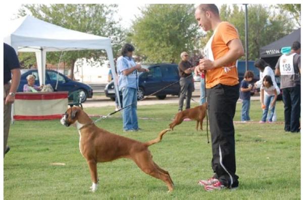 Ch. Rayyan De Jir-Pia