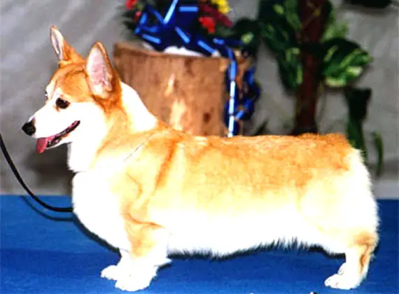 Otreks Only in My Dreams