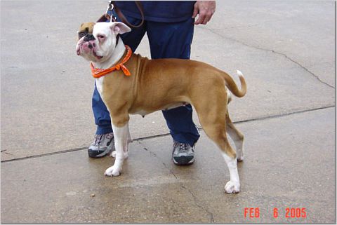 Thompson's Red Sonja