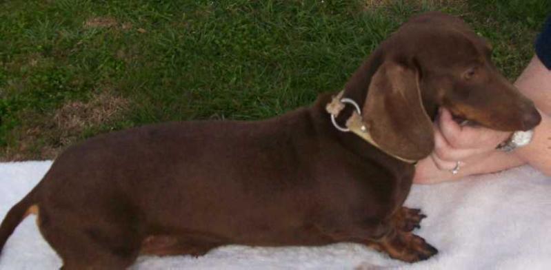 Winter's Hot Chocolate