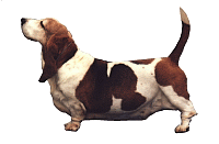 Grasshopper's Kevin McGhee