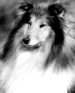 Cloverbank Scimitar at lynway