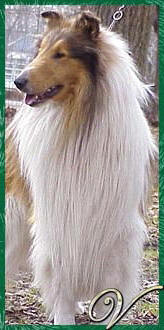 Van-M Make A Deal II