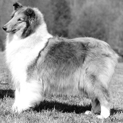 Tartanside Fringe Benefit