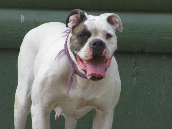 Daisy Mae Mae