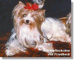 Schneeflöckchen von Friedheck