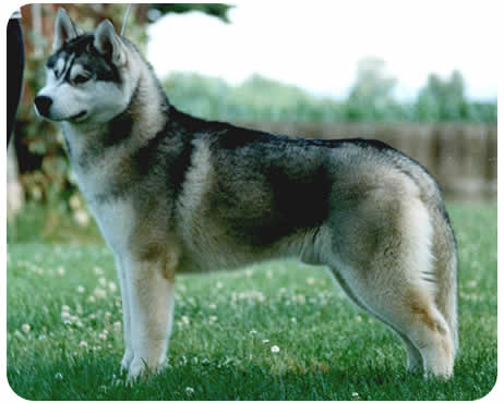 Arlington Back to You