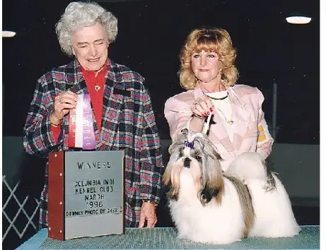 CH. Sukara'S Some Bunny Loves You