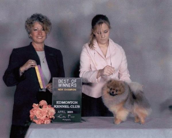 CAN CH CharChar Sticks