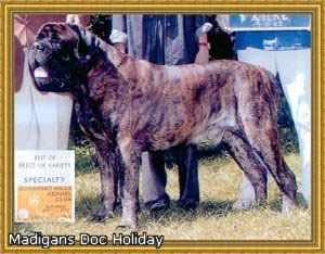 CH Madigans Doc Holiday