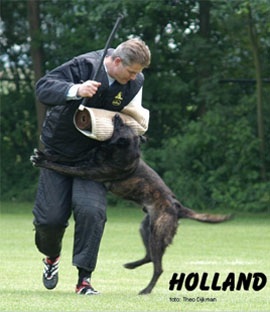 Holland van de Vastenow