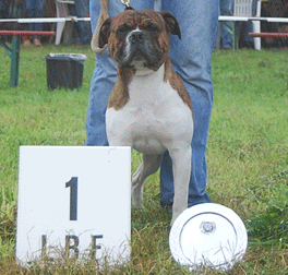 Loyal Guard Kennel's Diesel