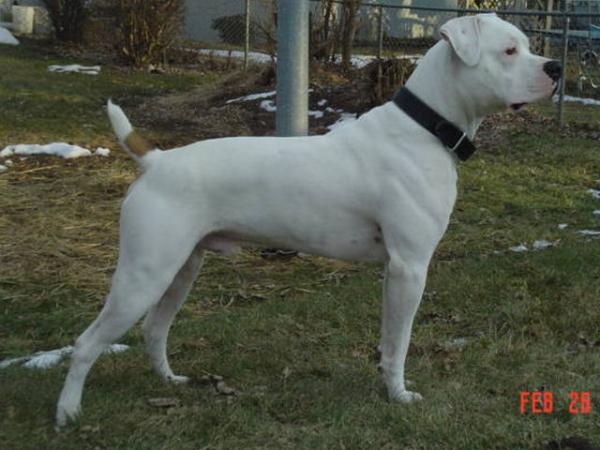 Down & Dirty's A World of Chaos