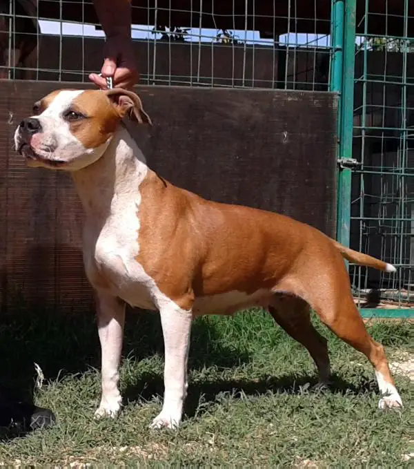 Playmaker's Eppur Si Muove