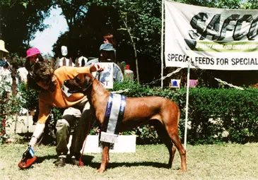CH SAF,HD-A KUSA BH APALACHEE UMQOLO of PRONKBERG