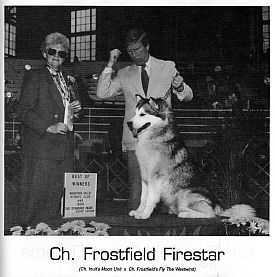 CH Frostfield Firestar