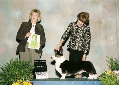 BIS AM GCH Heart of Gold Power Play