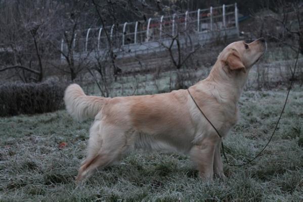 Day by Lyderio Kodas