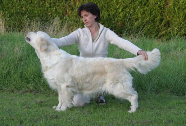 Ashbury Oh Pretty Girl