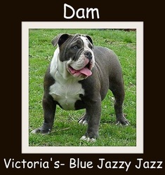 Victoria's Blue Jazzy Jazz