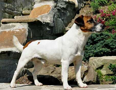 Oltre Ogni Limite di Sutri