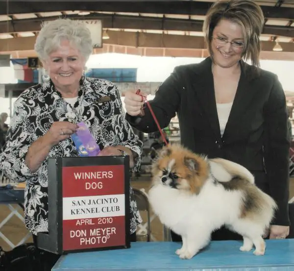 Chelanes John Dillinger