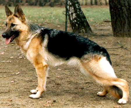 Pußta von den Salzbergen