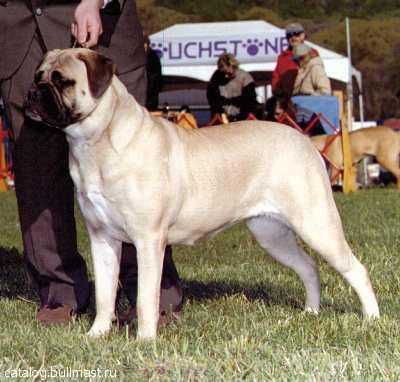 ROM, AM CH Leatherneck Eveready