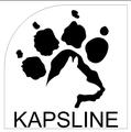 KAPSLINE