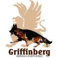Griffinberg