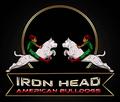 Iron Head